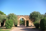  IMGP2607.jpg 